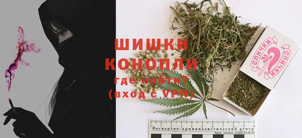 дмт Карпинск