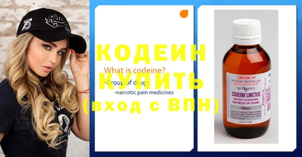 дмт Карпинск