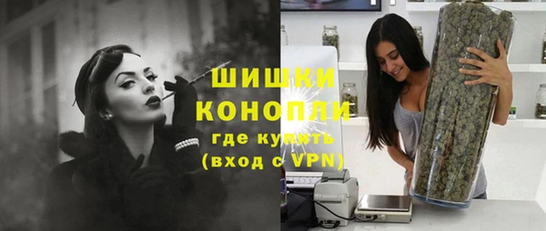 дмт Карпинск