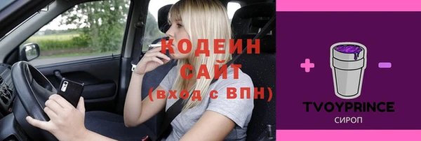 дмт Карпинск
