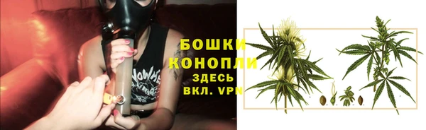 мяу мяу мука Карталы