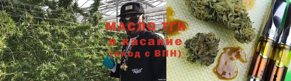 мдпв Касимов