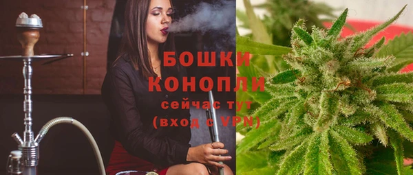 дмт Карпинск