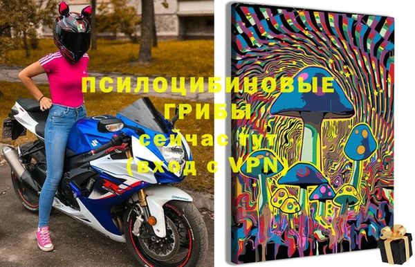 дмт Карпинск