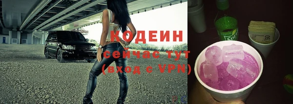 дмт Карпинск
